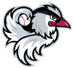 Official Home Improvement Partner of the Idaho Falls Chukars