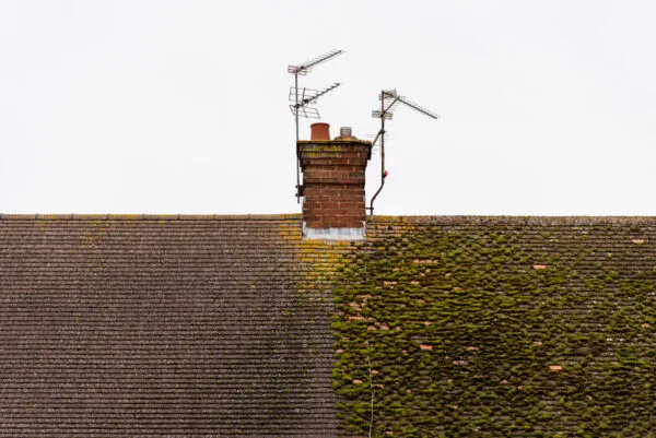 House with a half cleaned roof and the other half is infested with Moss.