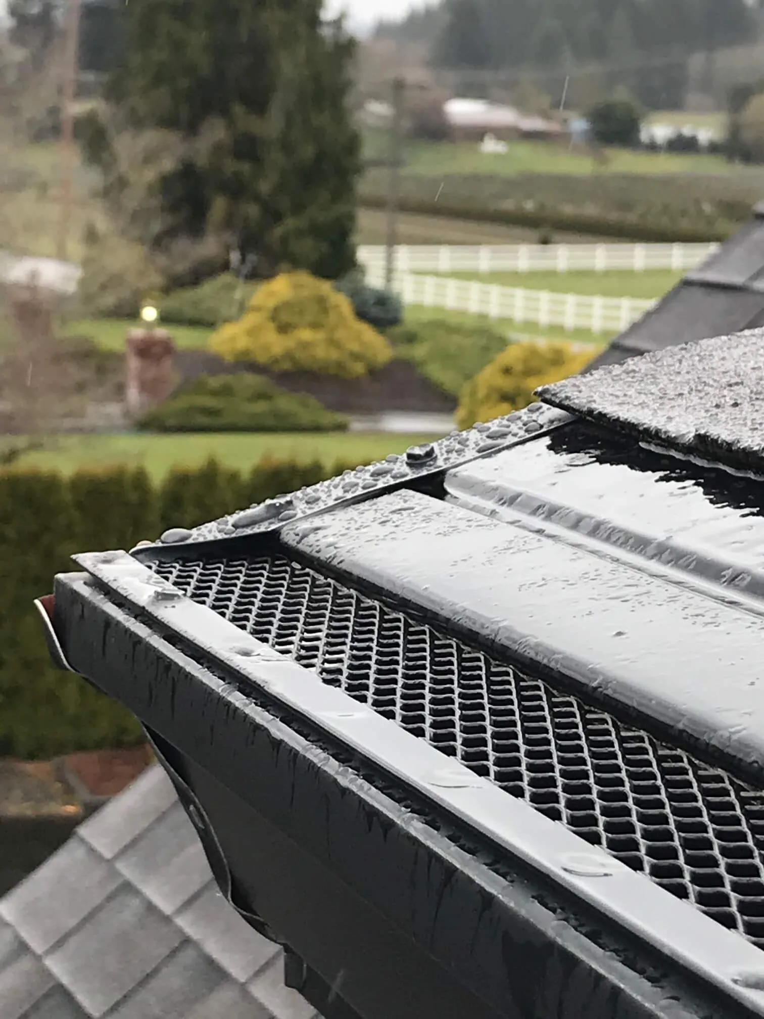 Premier Gutters and gutter covers with a roof in the background and a front driveway.