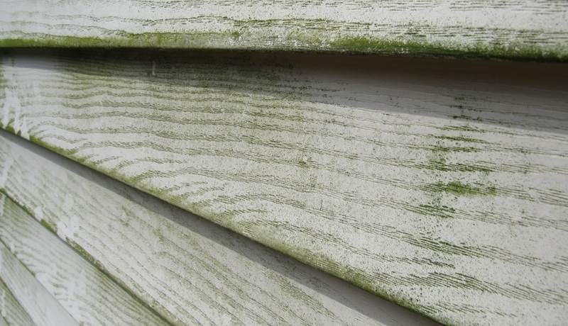 Siding with Green Algae